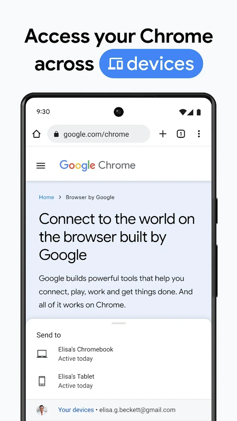 Google Chrome5