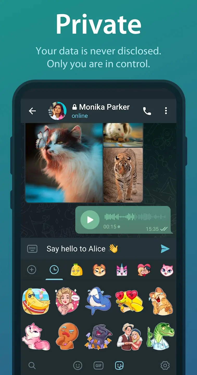 Telegram-Messenger4