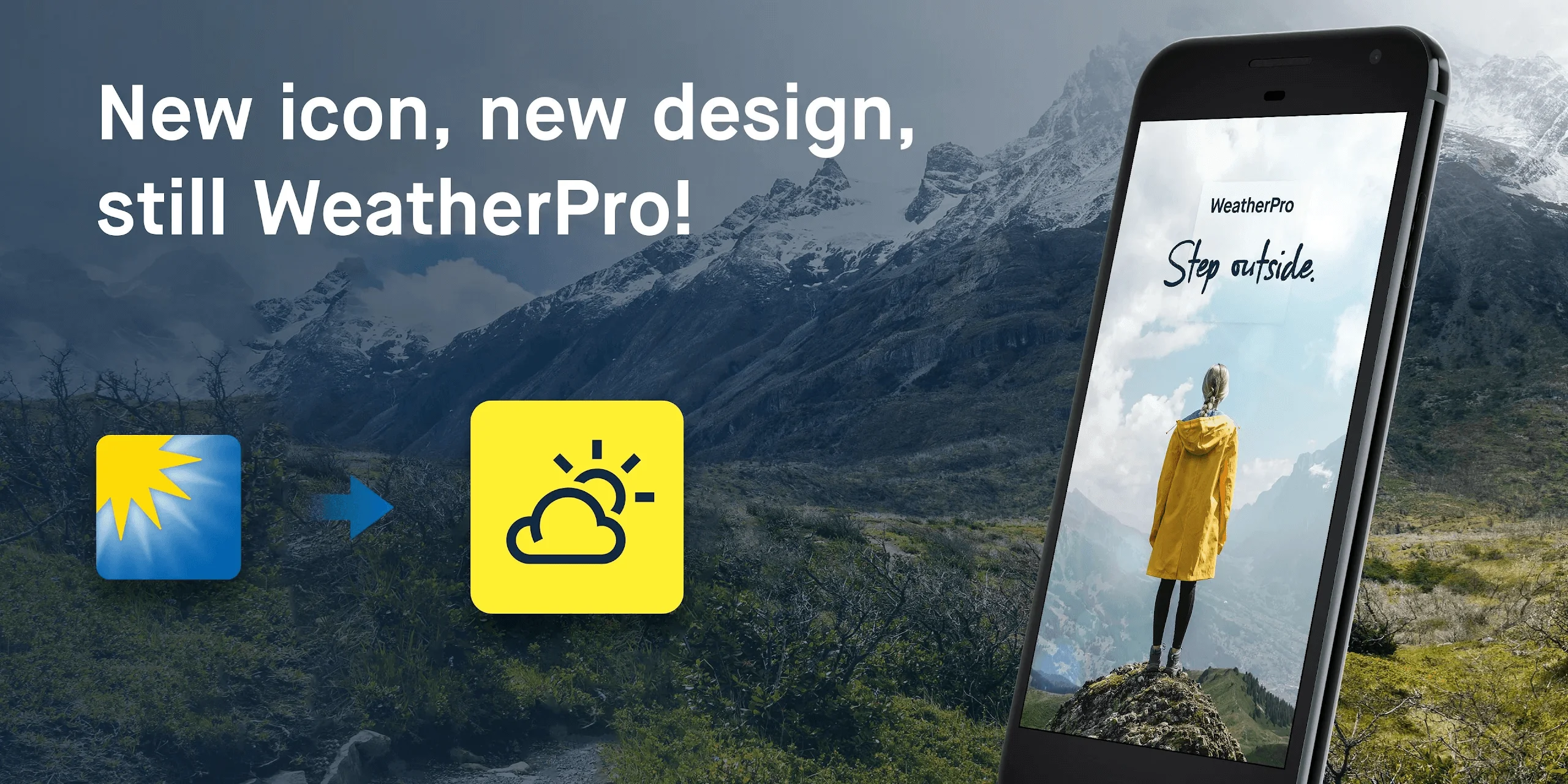 WeatherPro 1