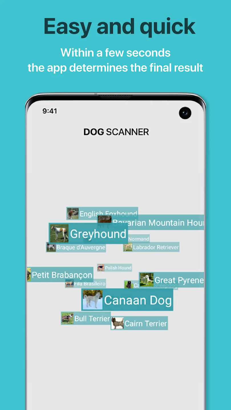 Dog Scanner 3