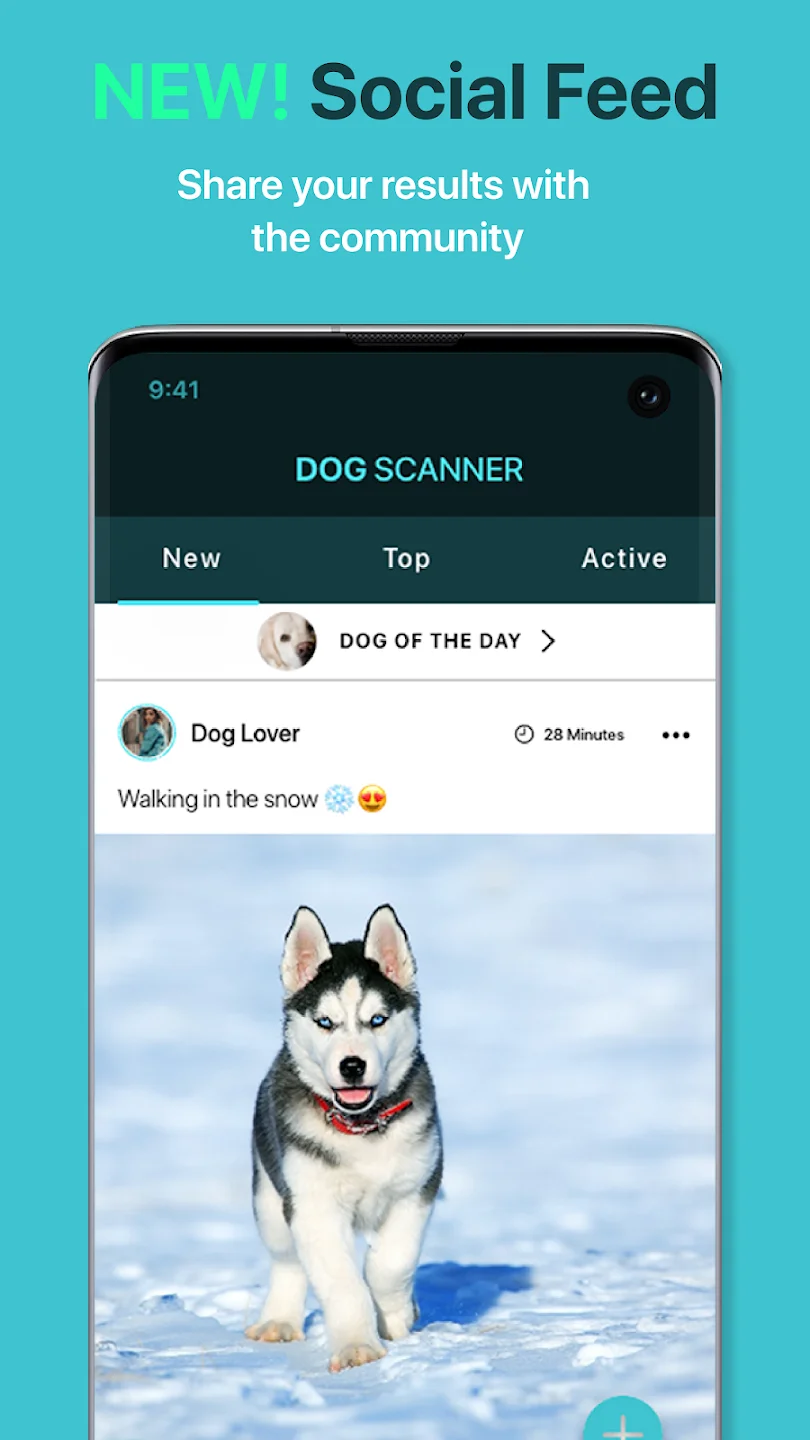 Dog Scanner 4