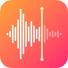 Voice Recorder & Voice Memos