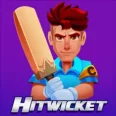 Hitwicket